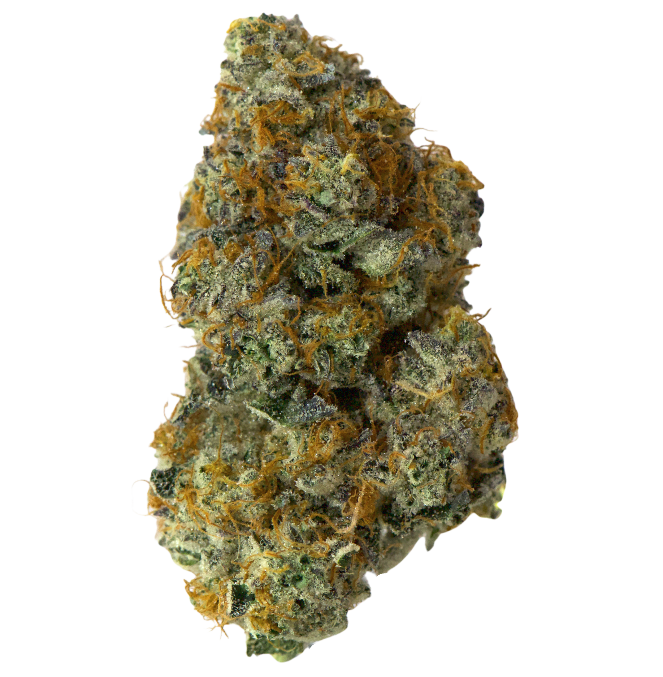 2399a166-e78b-4aa8-818c-82d650d501a9