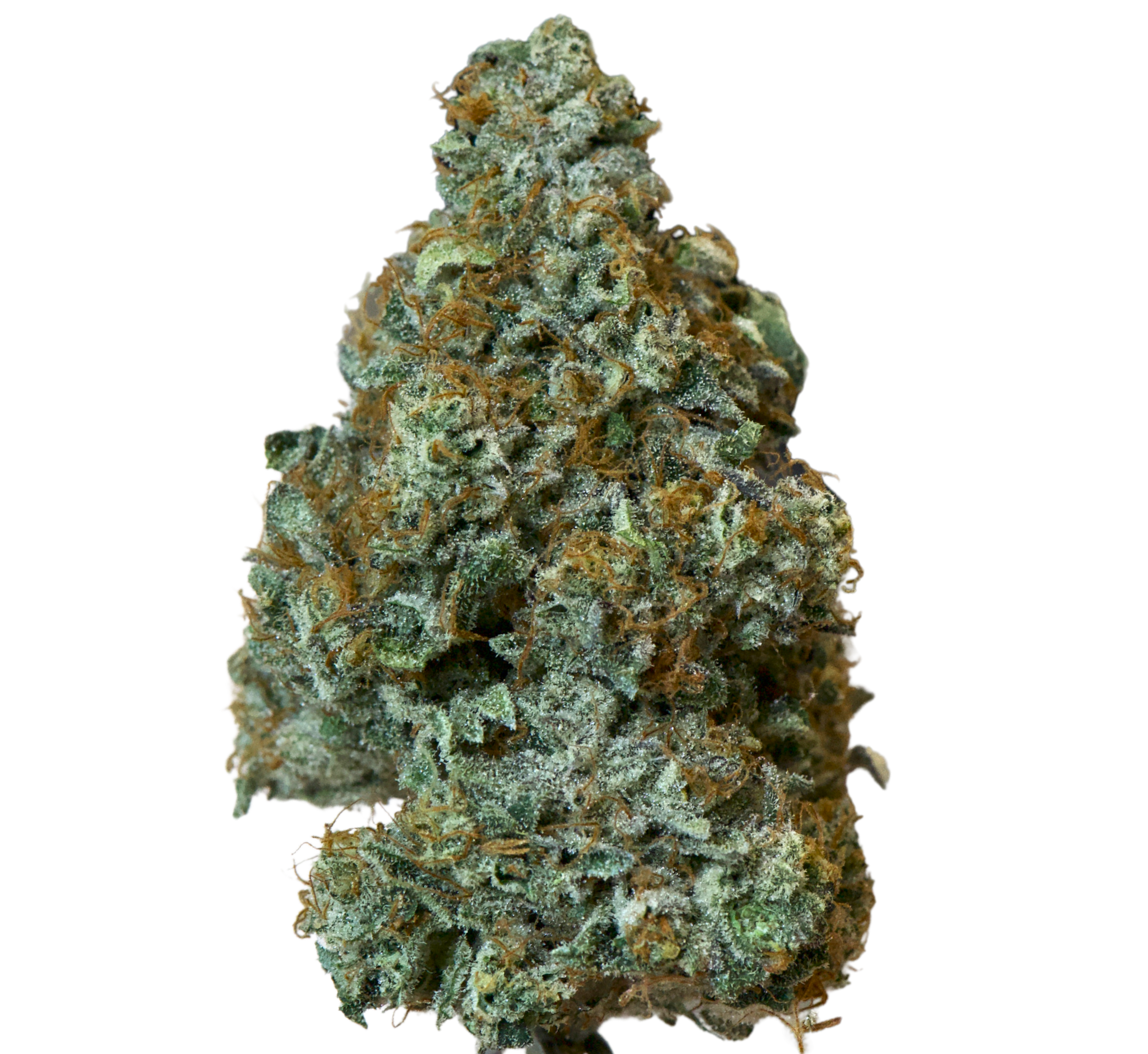 65c98897-7e18-445b-b394-5709e716ce2c